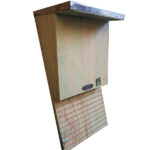 Casetta per pipistrelli