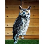 spaventapasseri formato gufo