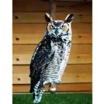 spaventapasseri formato gufo