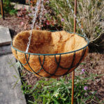 ciotola in cocco per basket