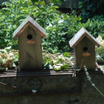 Casetta uccellini tetto rame - immagine 3