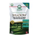 Sementi per prato ombreggiato Shadow