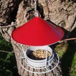 Mangiatoia rossa in metallo