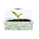 Germinatoio in plastica fantasia