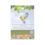 semi fiori attira uccellini