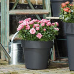 Green basics top planter Elho