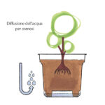 vaso-quadrato-still-diffusione per osmosi