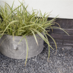 Fioriera semicircolare metallo con pianta ornamentale