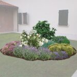 Aiuola profumata grande giardino