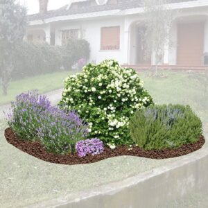 Aiuola attira api piccola ambientata 1