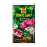 Terriccio per orchidee compo