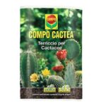 Terriccio piante grasse e cactacee - Compo