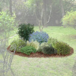 aiuola piante aromatiche