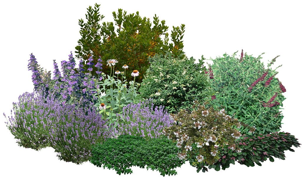 Aiuola farfalle grande 2 composizione