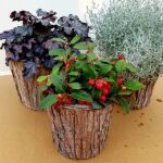 Portavaso in legno - Posiwio - immagine 2