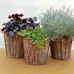 Portavaso in legno - Posiwio - immagine 3