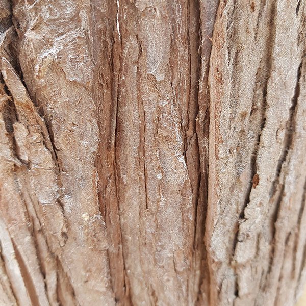 Portavaso in legno - Posiwio - immagine 5