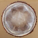 Portavaso in legno - Posiwio - immagine 6