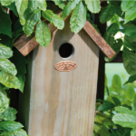 casetta uccellini tetto rame L ambientata