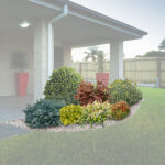 Aiuola colorata sempreverde 1