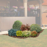 Aiuola colorata sempreverde 1 ambientata