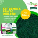semina prato inglese kit 70mq