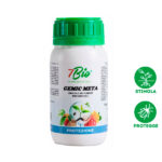 Gemic meta miccorrizze