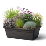Fioriera con graminacee e perenni (1)