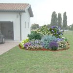 aiuola bianca e viola ambientata