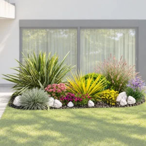 Aiuola dry garden 2