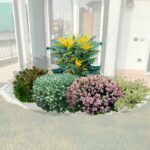 Aiuola invernale sempreverde 2