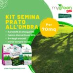 prato ombreggiato kit semina 70mq