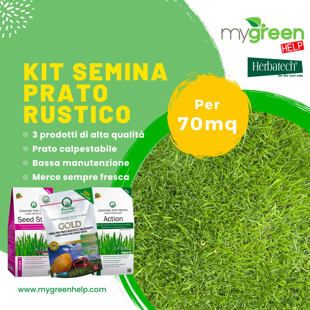 Sementi Prato Super, Prafor, Miscuglio Sementi, Prato Ornamentale