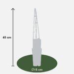 Clematis Miss Bateman dimensione