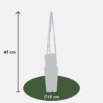 Clematis Piilu dimensioni