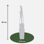 Clematis-Viticella-'Polish-Spirit'-dimensione