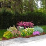 Aiuola Multi-Colore 1 ambientata 1