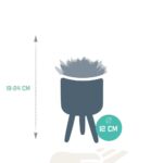 Mix Echeveria in vaso cemento terracotta 3 piante dimensioni