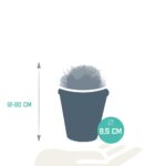 Mix cactus a palla in vaso terracotta 3 piante dimensione