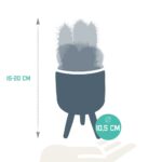 Mix cactus in vaso cemento colorato 3 piante dimensioni