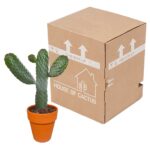 Opuntia consulae spedizione