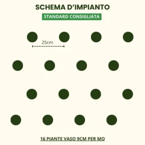 Schema impianto 1mq standard consigliata