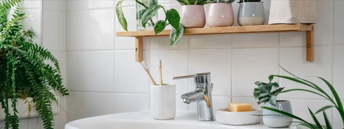 Piante adatte al bagno