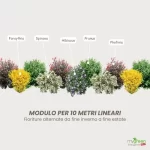 Siepe mista fiorita 10 metri