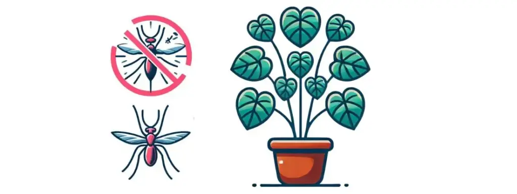 Catambra pianta antizanzare