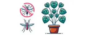 Catambra pianta antizanzare
