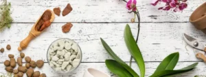 Che terriccio usare per le orchidee