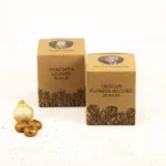Giacinti e Crocus Box 30 Bulbi pacchetti