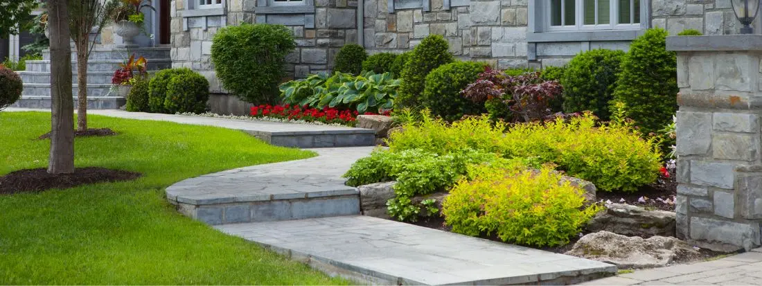 Piante Basse per Piccoli Spazi