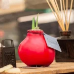 amaryllis cera Parfumz ciliegia 1 stage